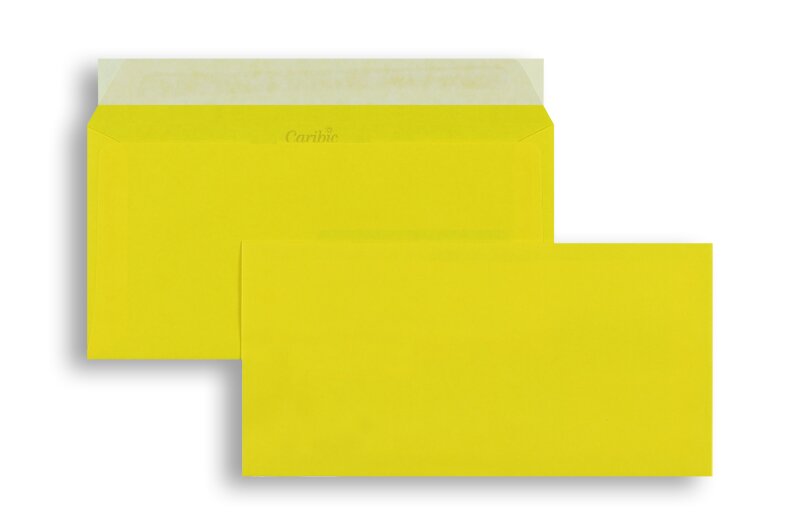 avec patte auto-adhésive 100 Enveloppes jaune soufre jaune 220 x 110 mm 
