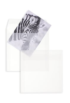 Enveloppes transparentes 14x19 cm pour cartes 13x18 cm